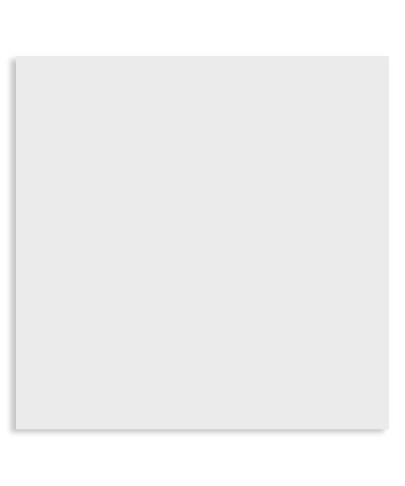 Гранитогрес Blanco Mate Pamesa 60.8×60.8